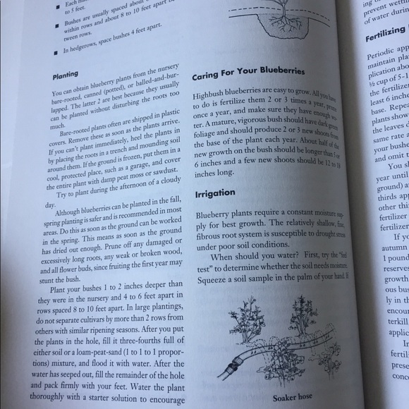 Big book of gardening - Picture 3 of 7